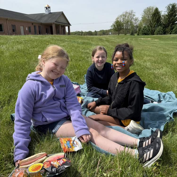 picnic