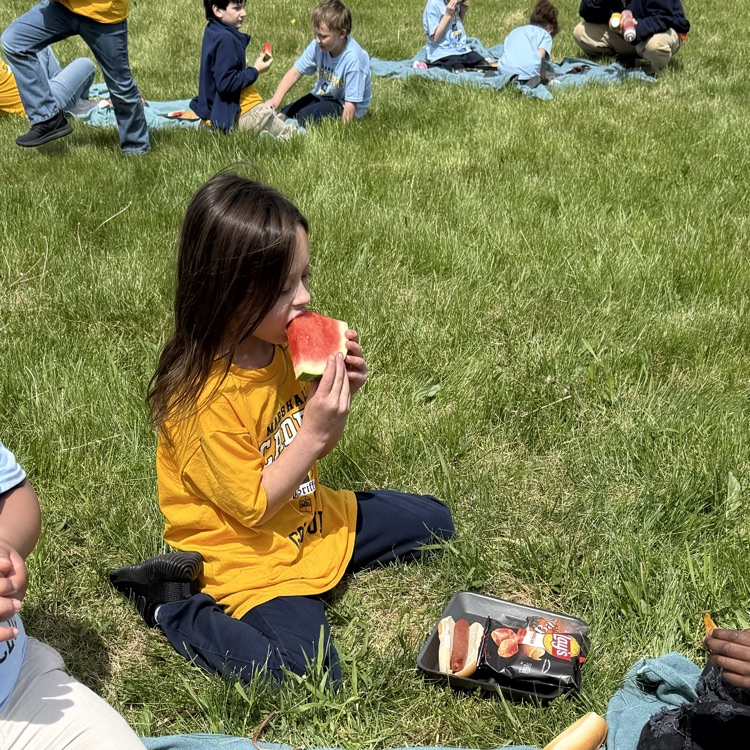 picnic