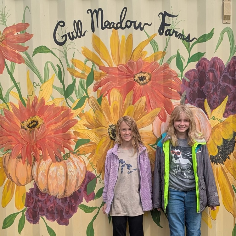 gull meadow farm