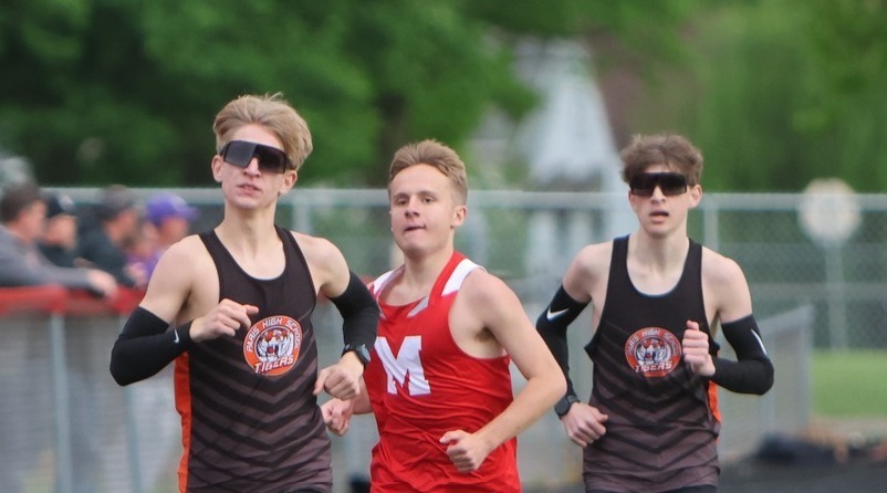 Lions Track