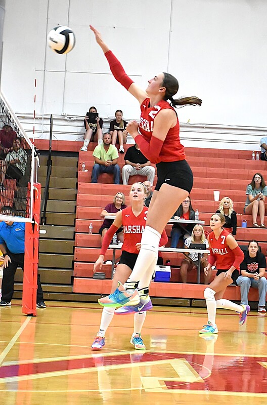 Lilly Ross (2) led the Lions in kills against Dieterich