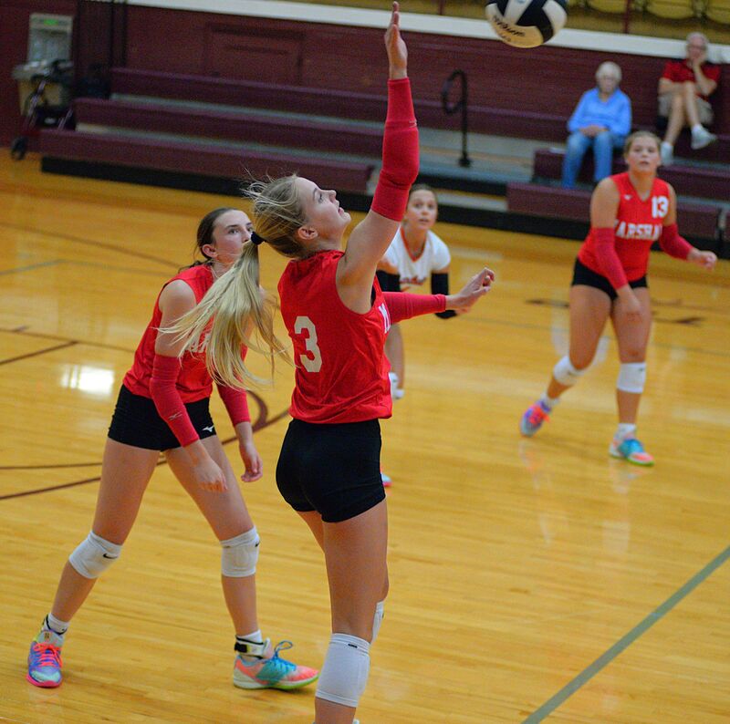 Harper Richardson (3) hits a smash from the right side against Mount Carmel