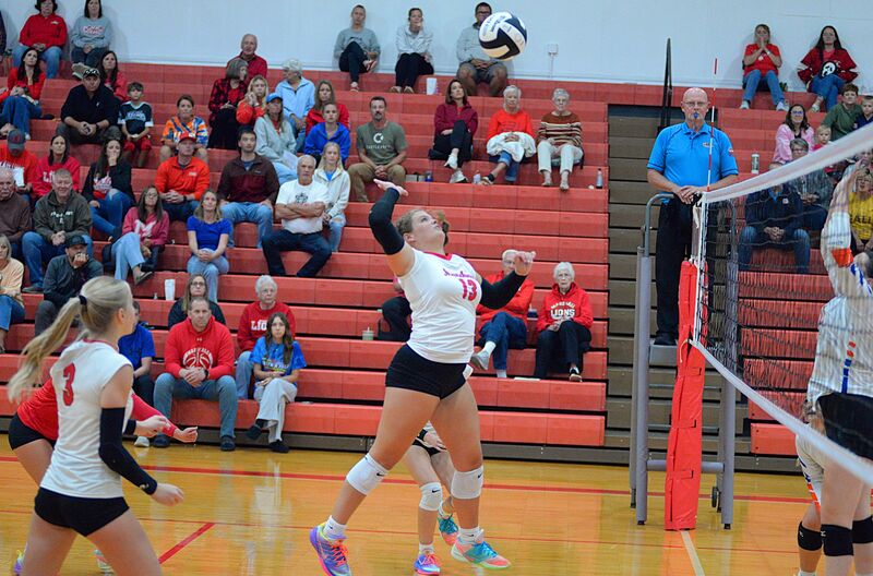 Marshall's McKenzie Davis lines up a kill in the middle against Hutsonville-Palestine