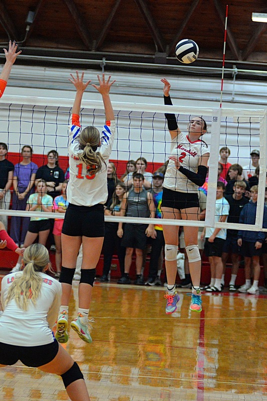Lilly Ross smashes a kill down the line against Hutsonville-Palestine