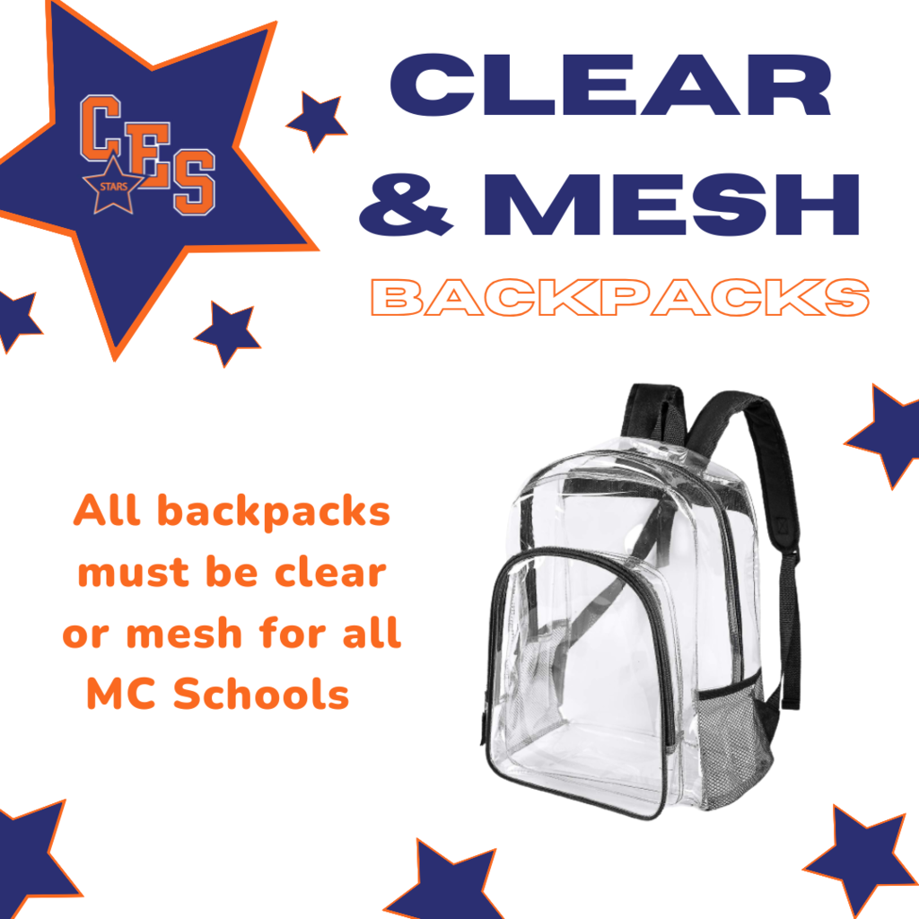 Clear or Mesh Backpacks 