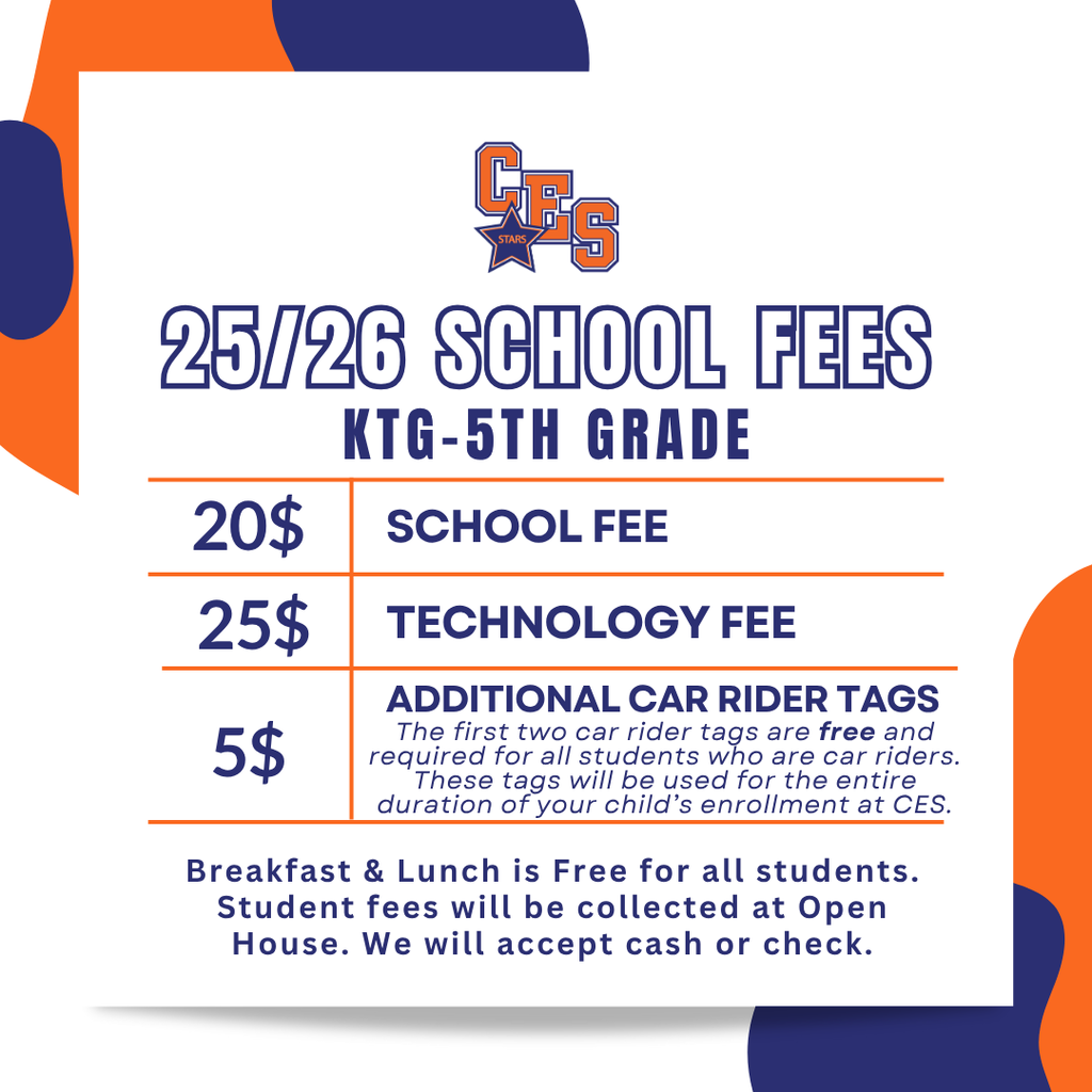 School Fees