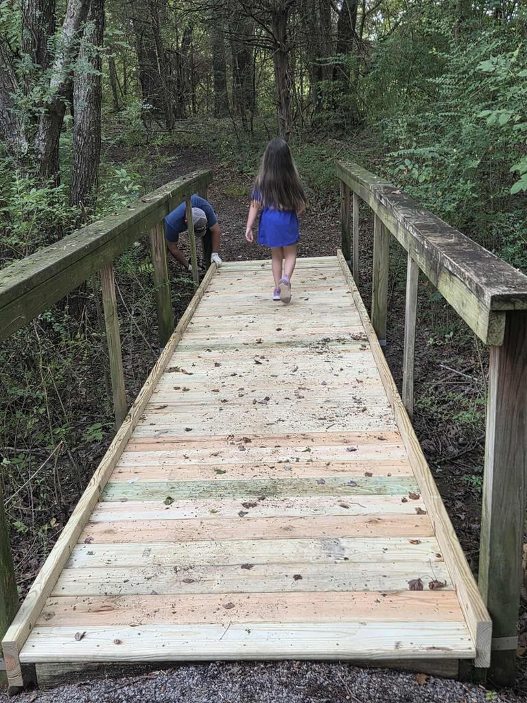 bridge