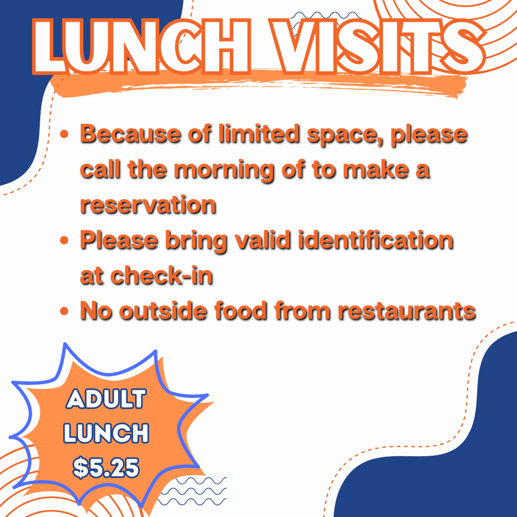 Lunch Visits