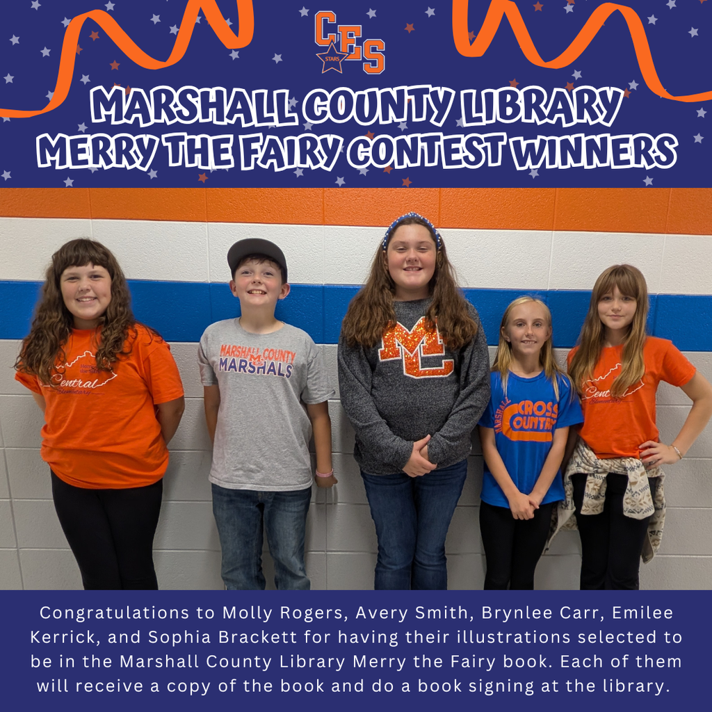 Merry the Fairy Contest Winners 