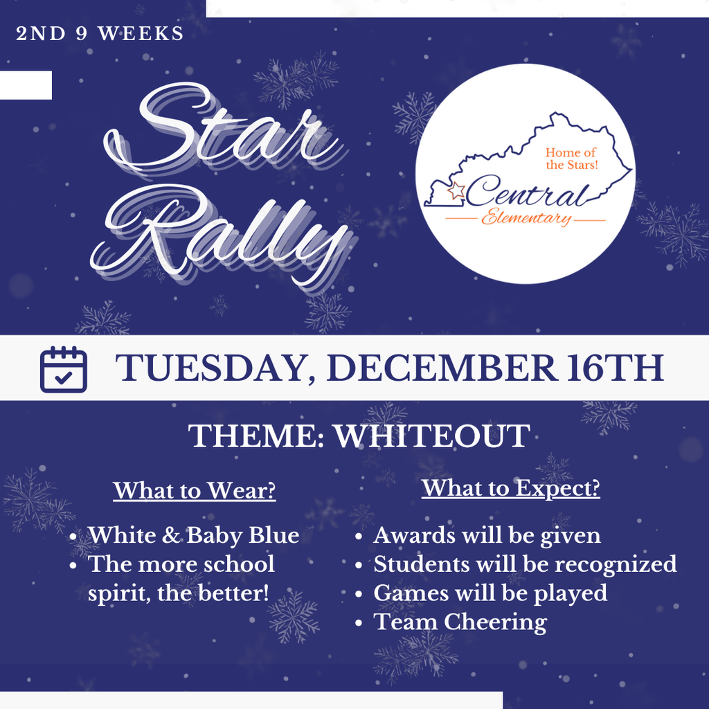Star Rally