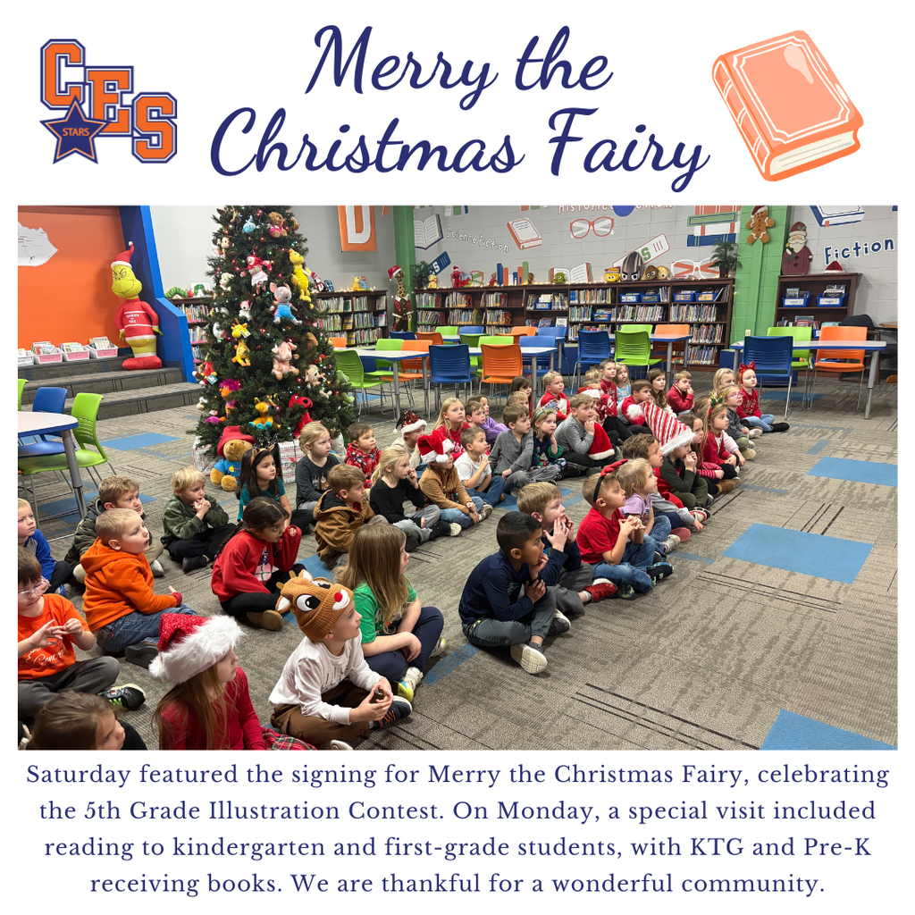 Merry the Christmas Fairy 