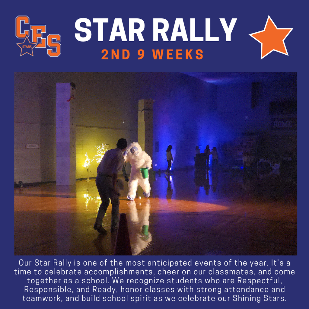Star Rally 