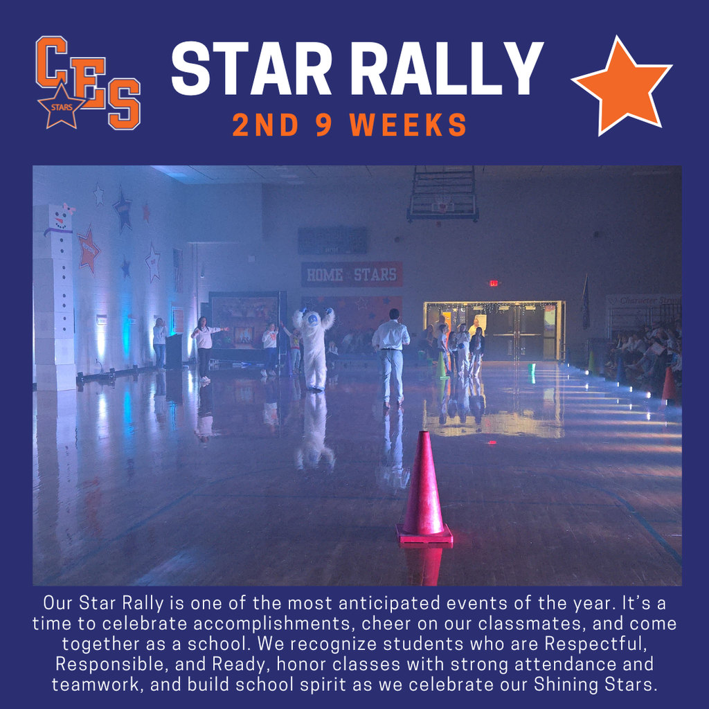 Star Rally 
