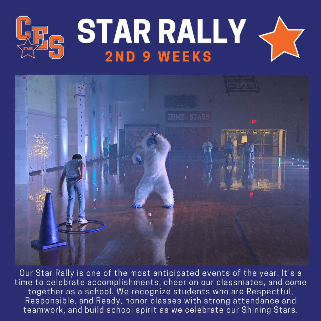 Star Rally 