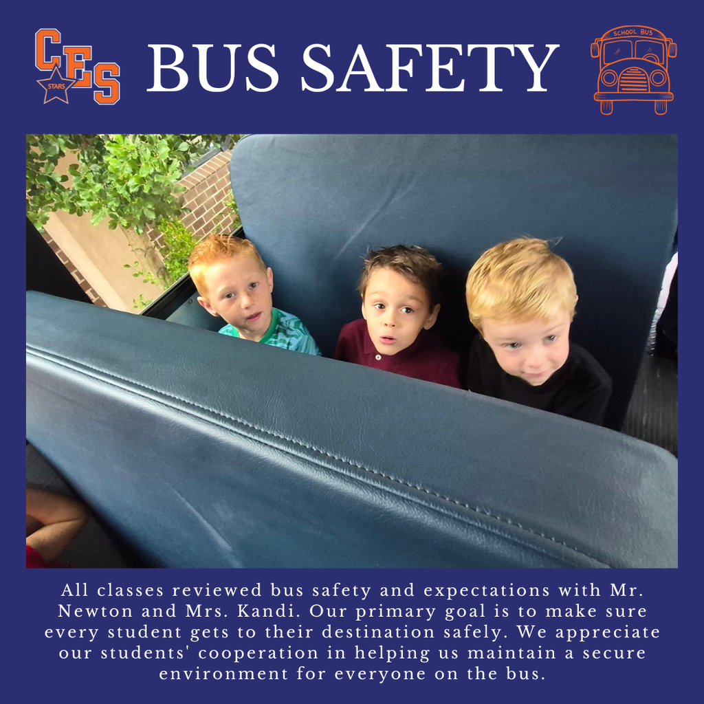 Bus Safety 