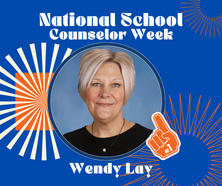 school counselor