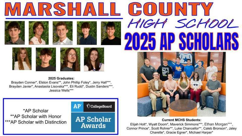 Graphic showing all AP Scholars