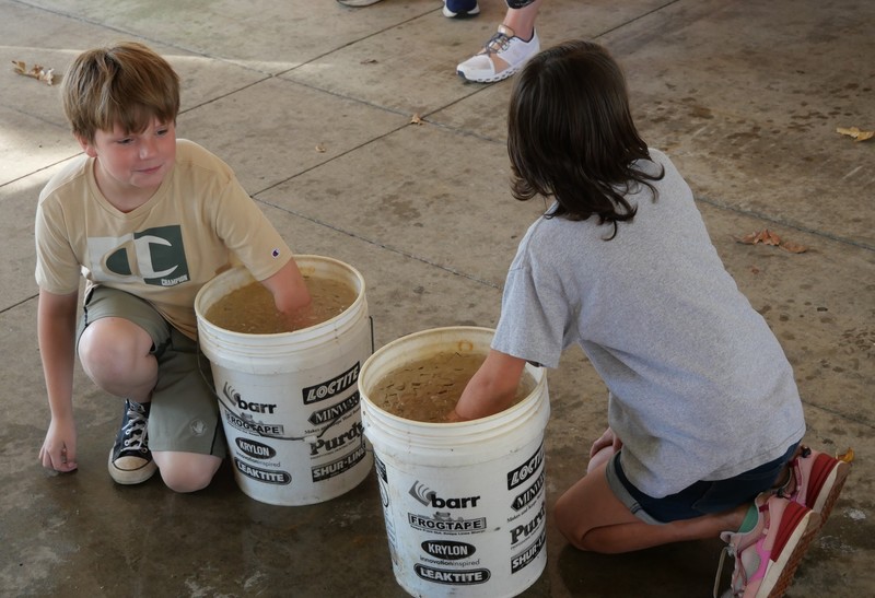 Students with hands in ice bucket (hypothermia demo)
