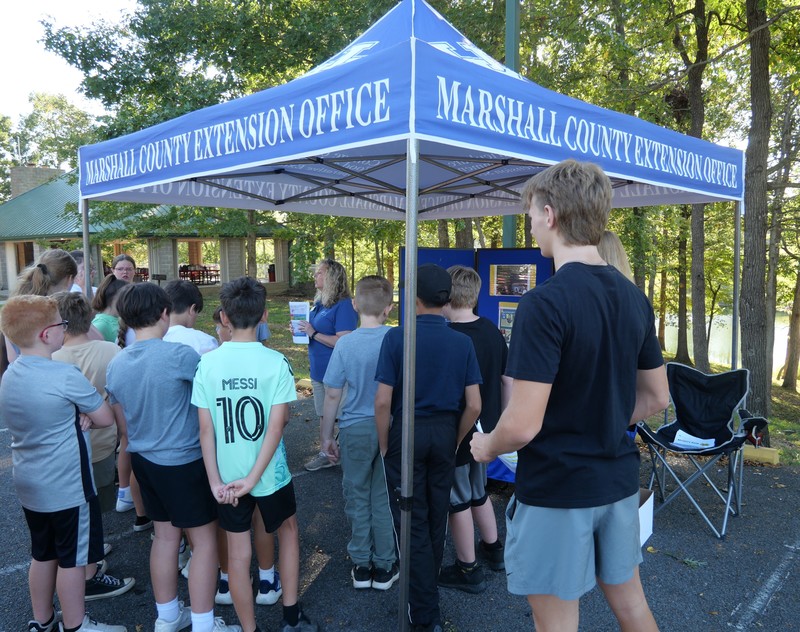 Food and Kitchen safety tent