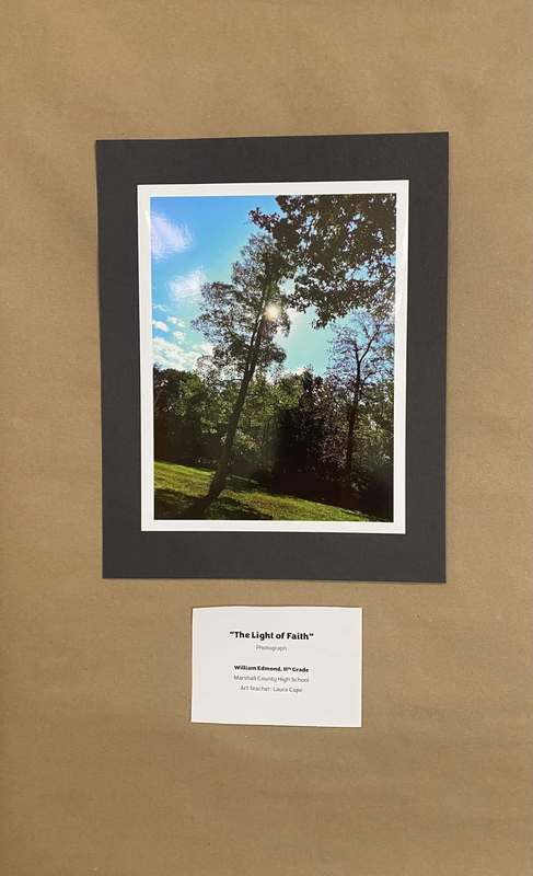 Photo of tree with sun in background