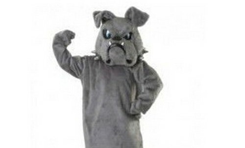 bulldog