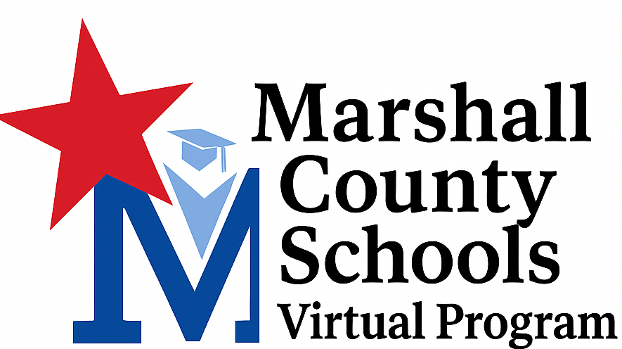 Virtual School