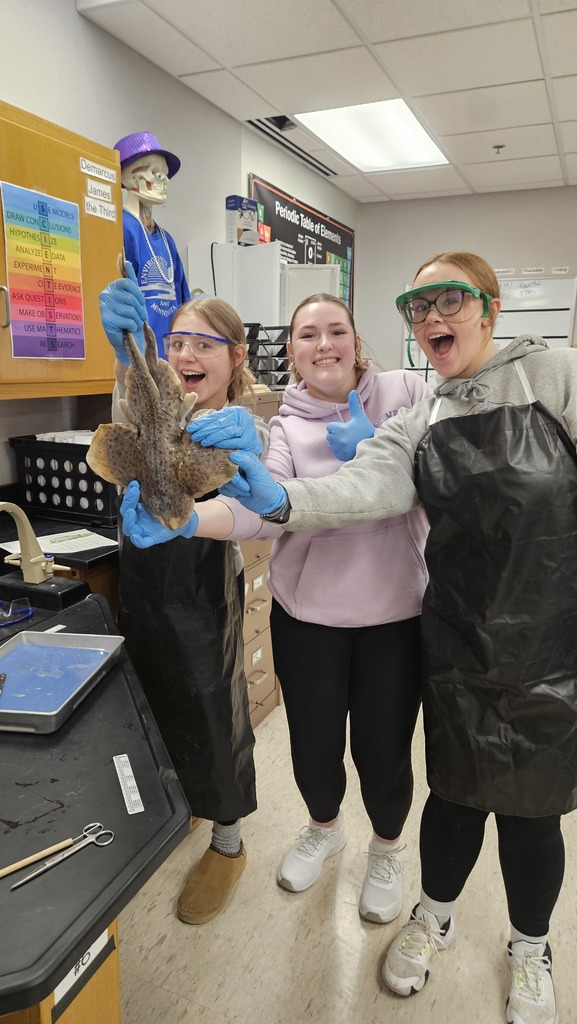 On April 7th and 8th, the Advance Biology students dissected different types of fish to compare similarities and differences between species.