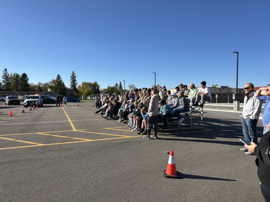 Students viewing accident scene