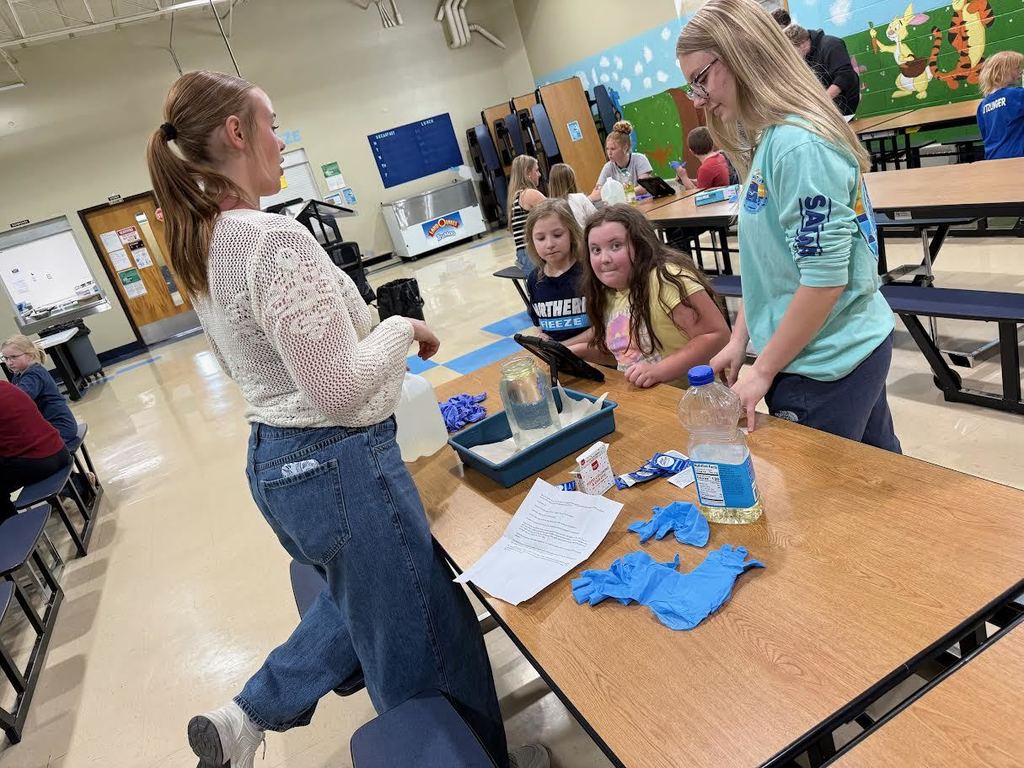 Ms. Melgaard’s CIS Chemistry students went over to Newfolden Elementary and taught the 2nd graders chemistry on Friday, April 24th
