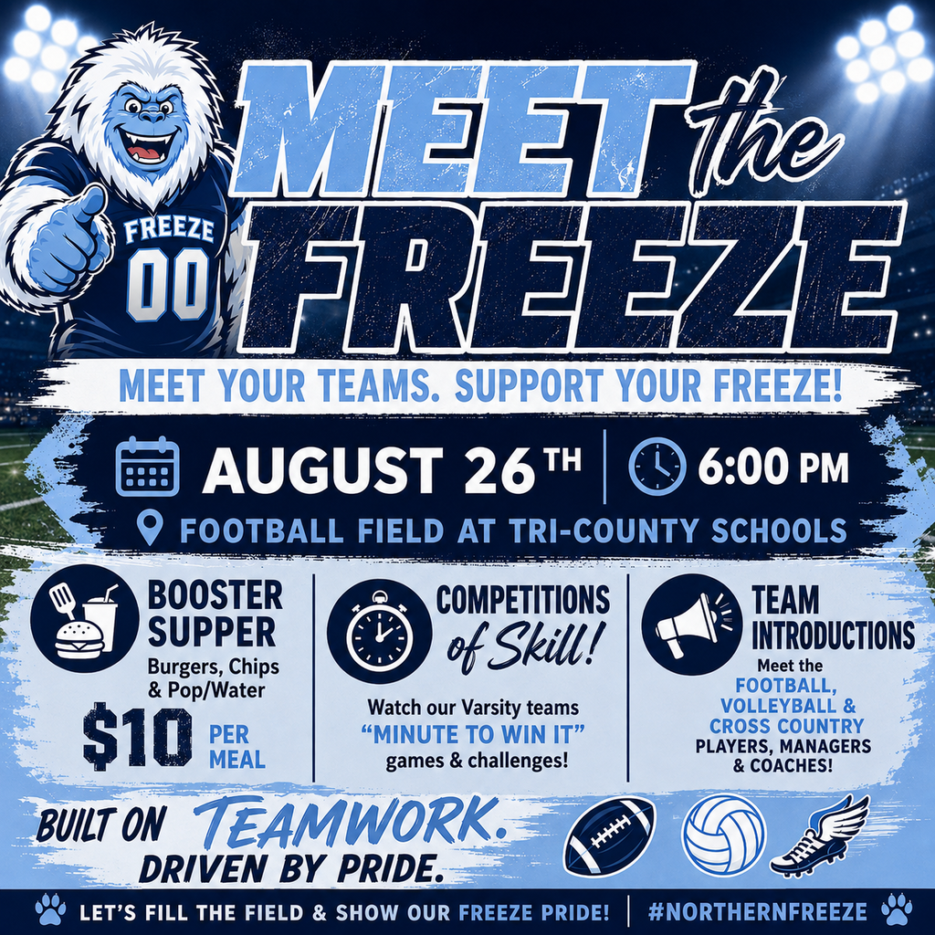 Meet the Freeze Poster