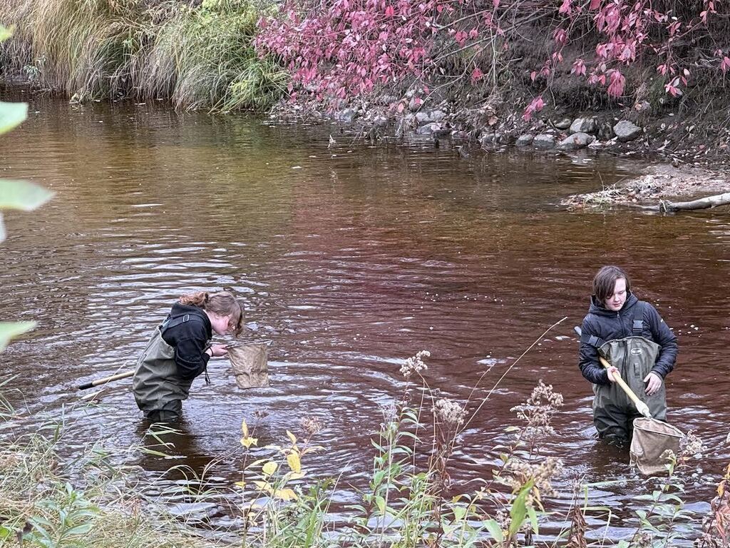 On Wednesday the MCC River Watch team collected and identified macro invertebrates at Old Mill State Park.