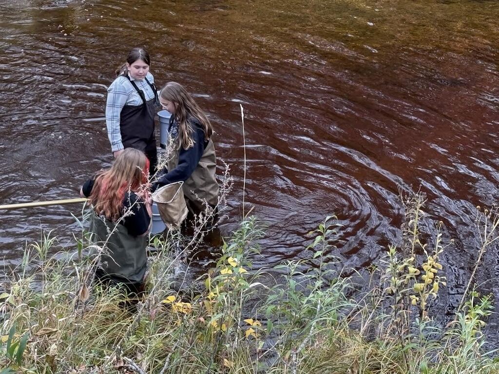 On Wednesday the MCC River Watch team collected and identified macro invertebrates at Old Mill State Park.