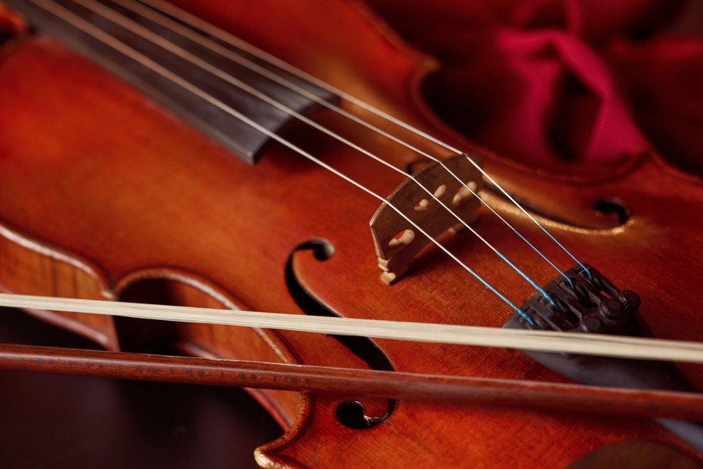 violin
