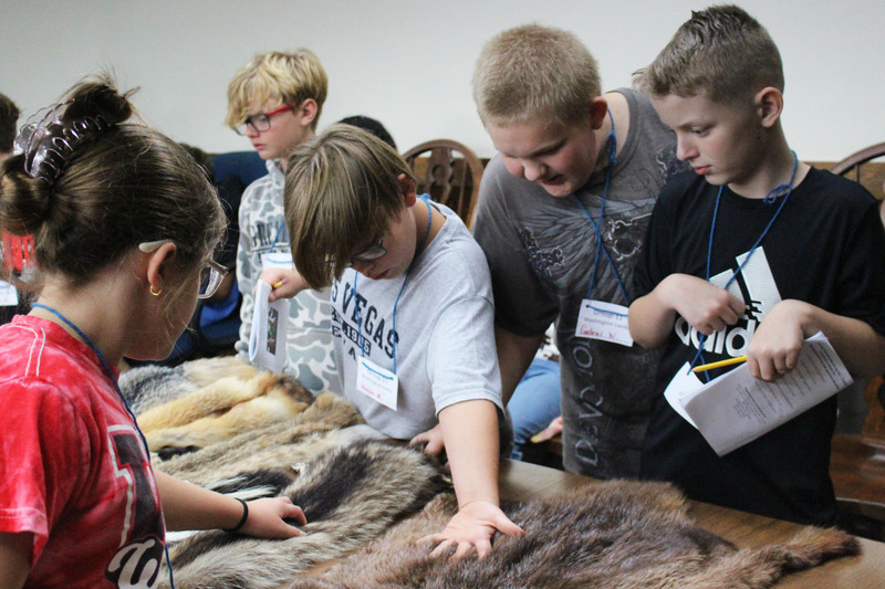 A group of young people gathered around a large furry animal, likely a dog or cat. They appear to be petting or interacting with the animal.