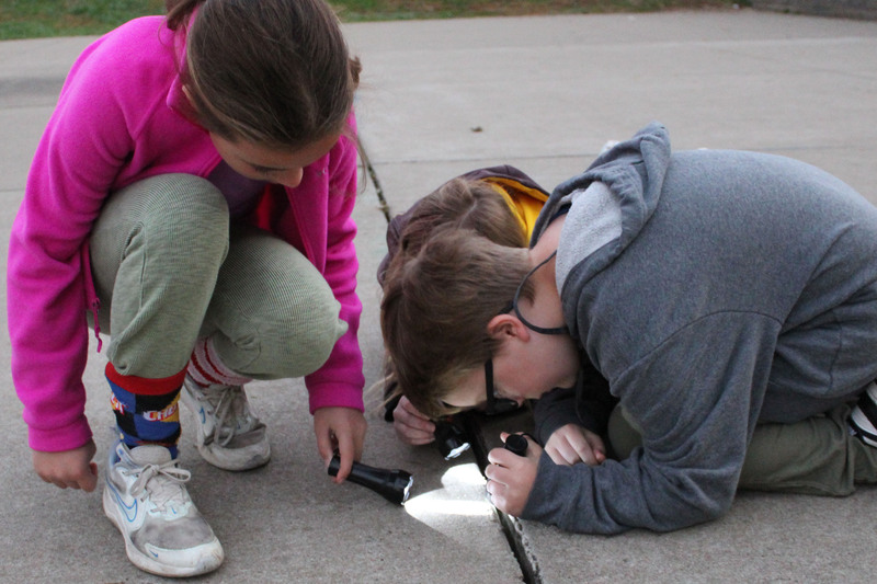 Glen Dale Elementary  students search for spiders.