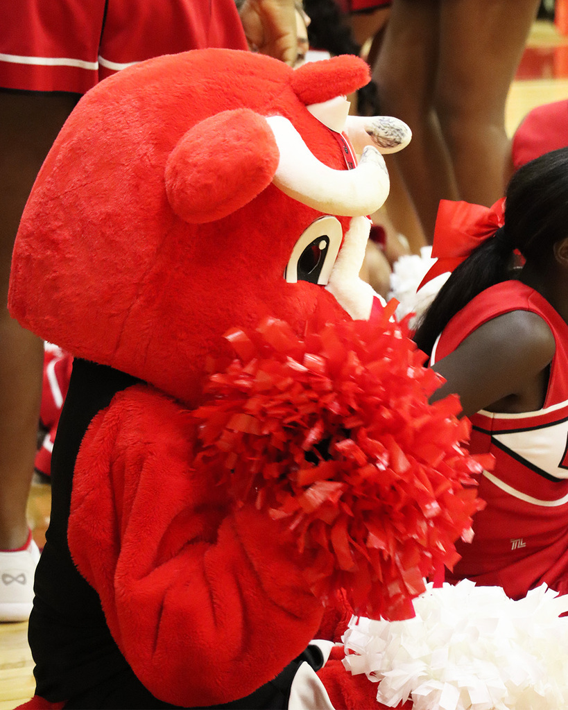 Meet the Mavs at MJHS