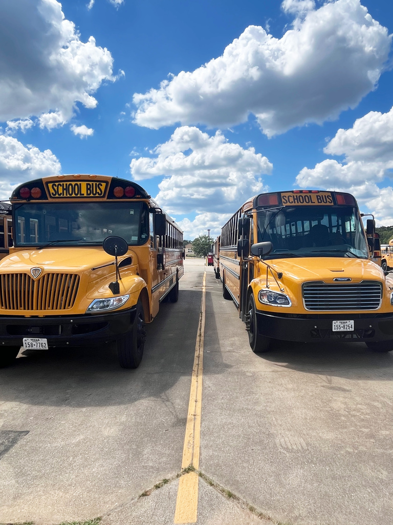 Bus Picture