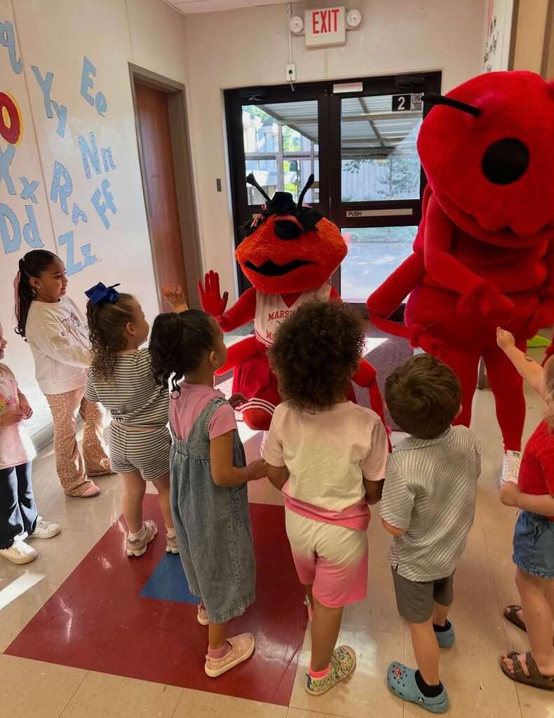 Fire Ant Mascots