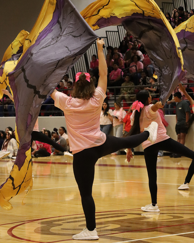 Reminiscing on our "Pink Out" Pep Rally and Home Game! 