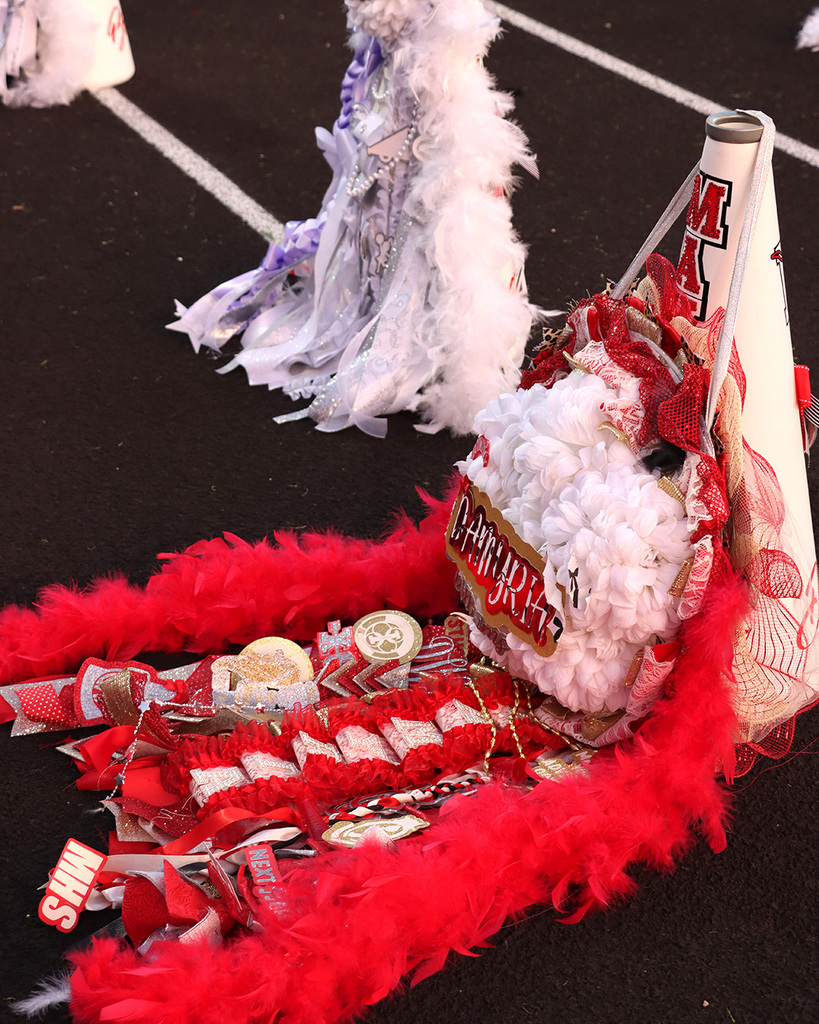 Homecoming Mums.