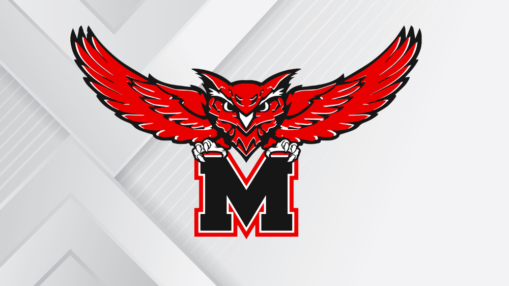 owl logo