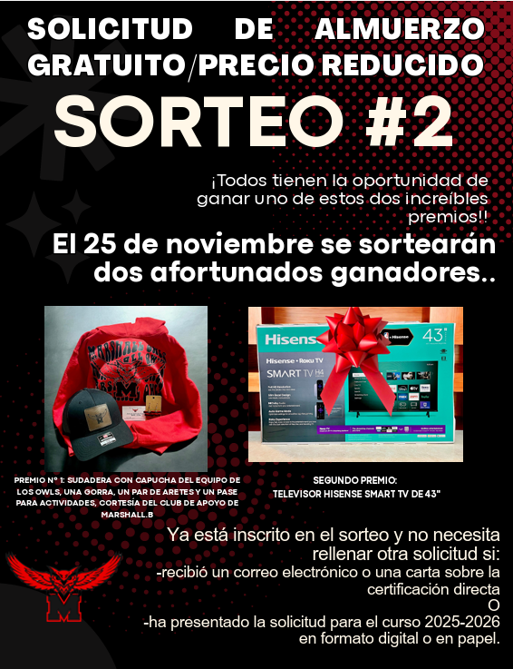 raffle poster spanish