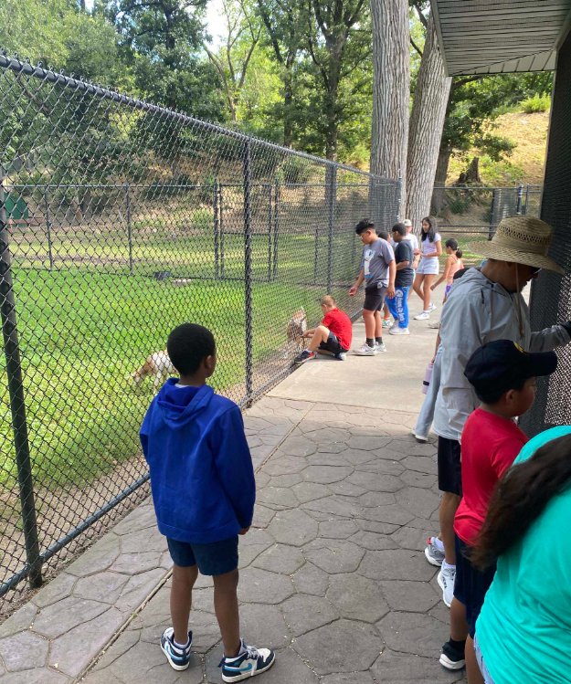 Group of kids outside