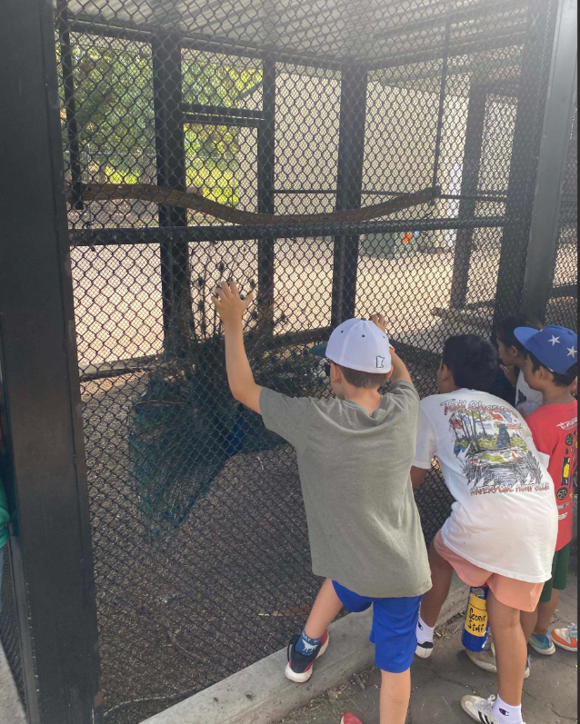 Group of kids outside