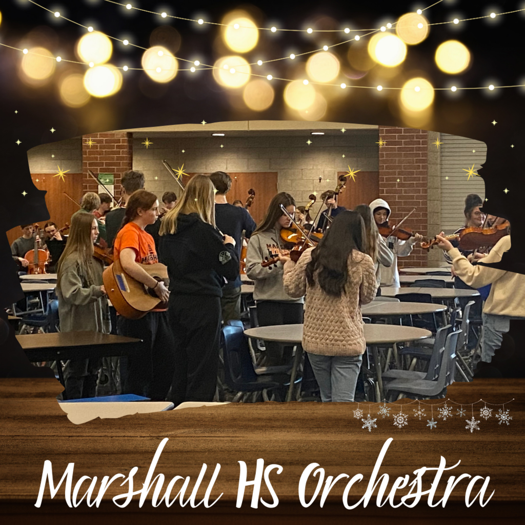 Orchestra