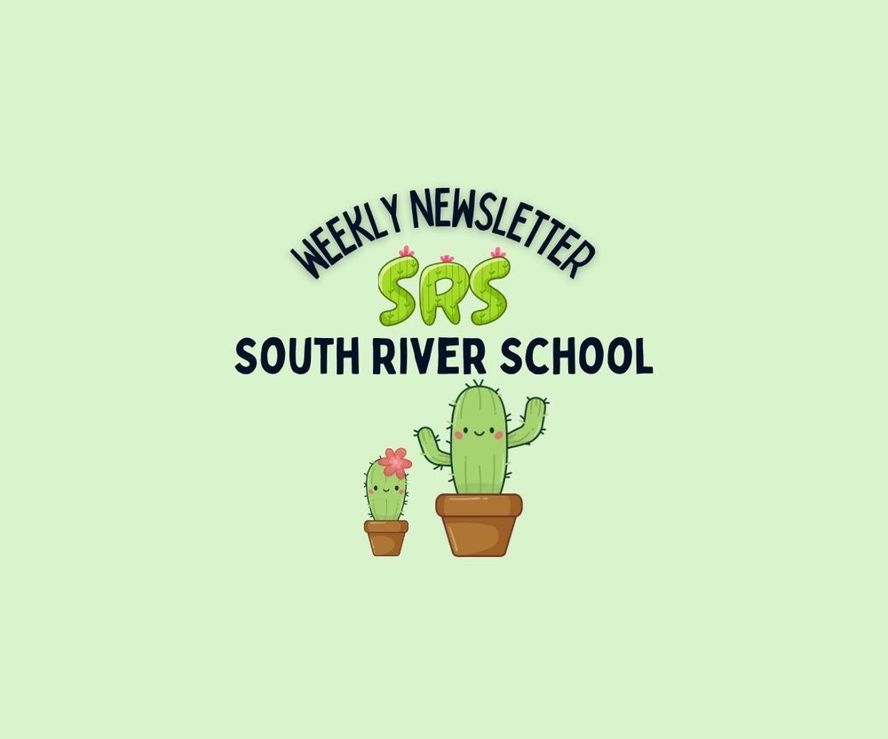 Weekly Newsletter