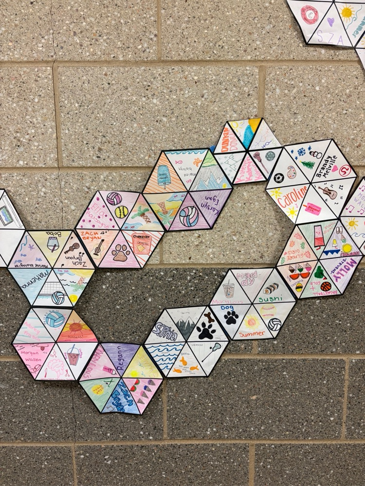 personality hexagons made by students