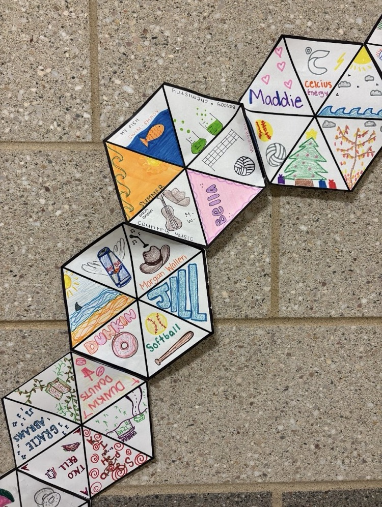 personality hexagons made by students