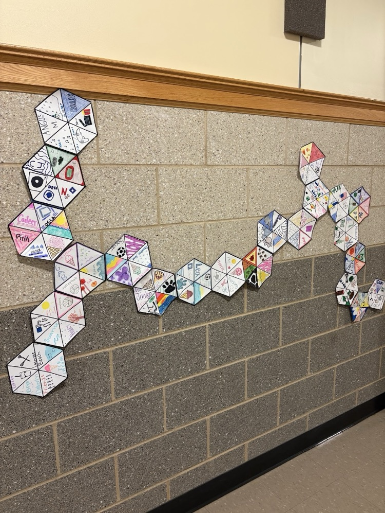personality hexagons made by students