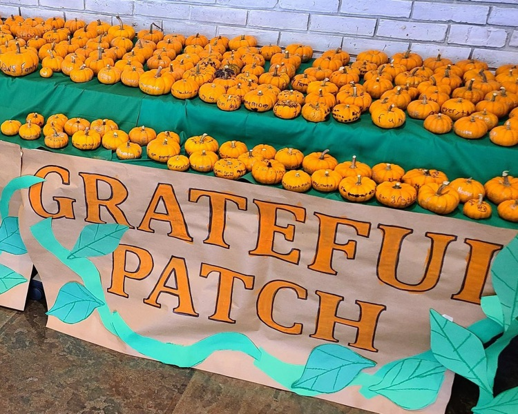 Grateful pumpkin patch